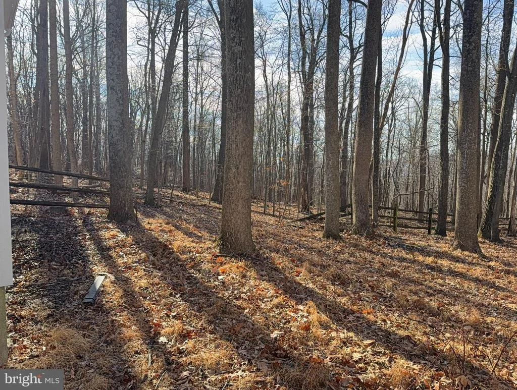 Photo of 13528 JOHN CLINE ROAD