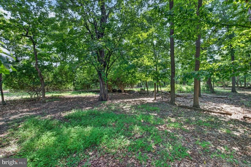 Photo of 10130 CLEARSPRING ROAD
