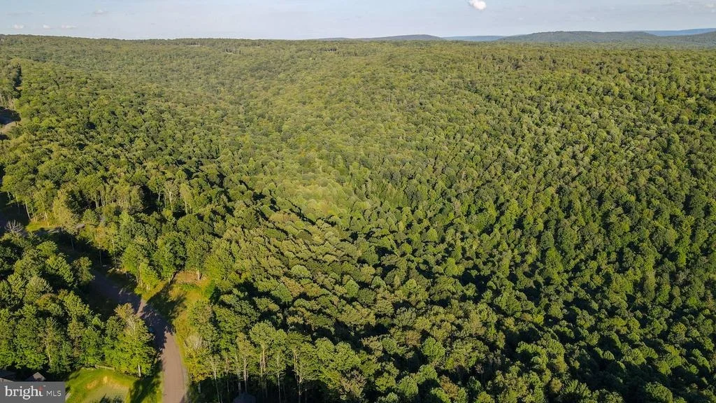 Photo of Lot 168 FORK RUN TRAIL