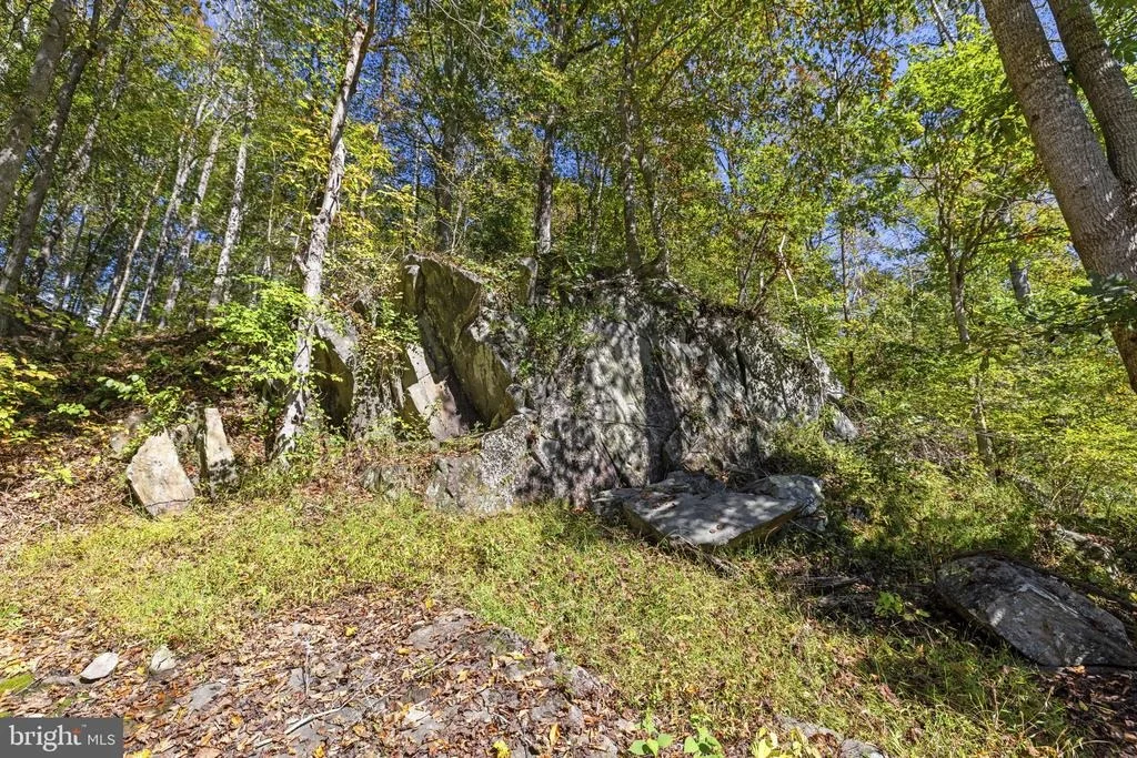 Photo of 8080 DULINS FORD ROAD