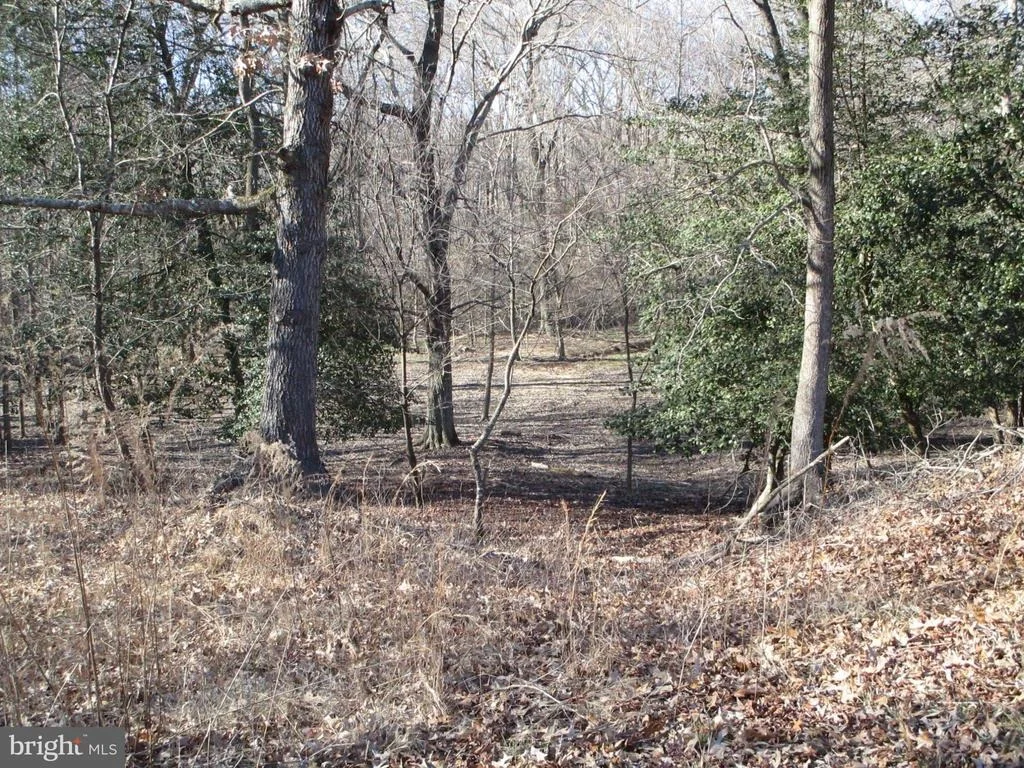 Photo of 11562 DOUBLE FORK ROAD