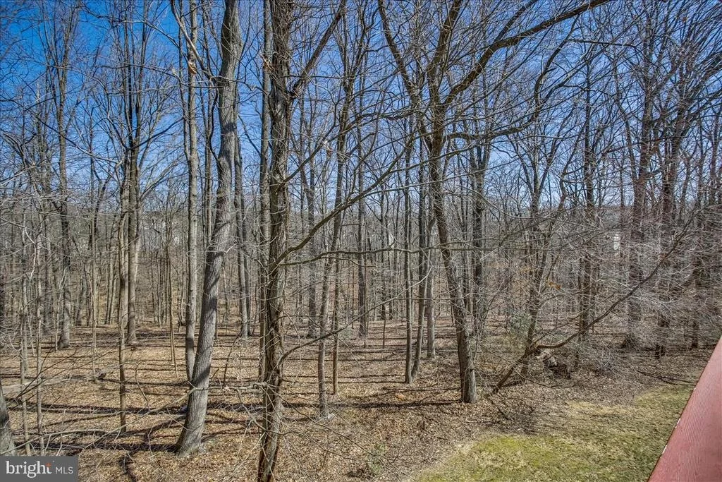 Photo of 4002 COTTON TREE LANE