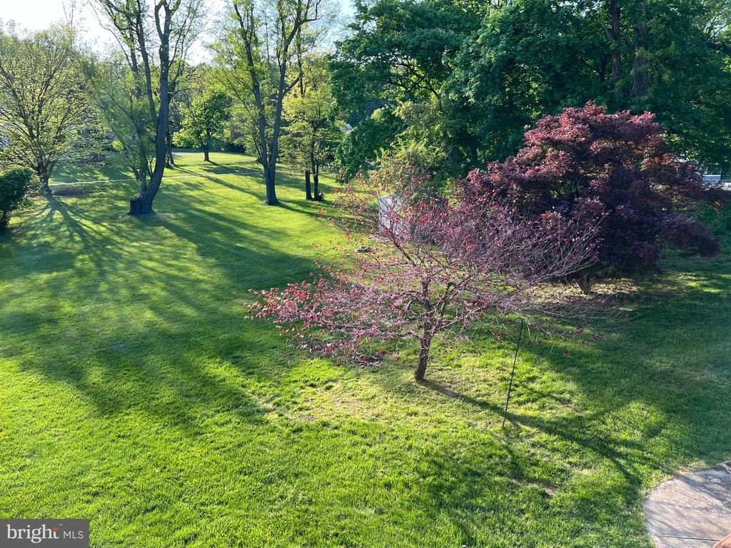 Photo of 11816 KEMP MILL ROAD