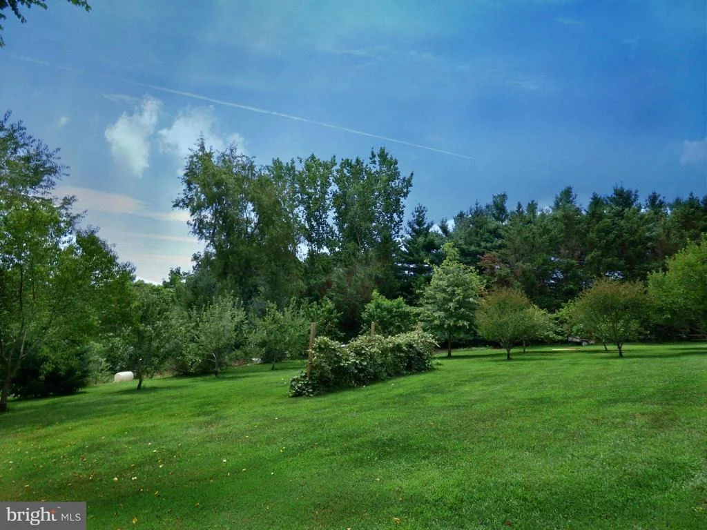 Photo of 8409 MAPLEVILLE ROAD