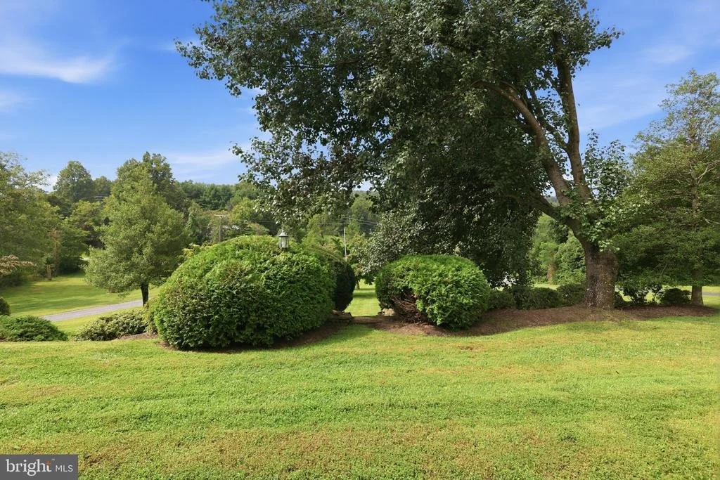 Photo of 4507 REMOUNT ROAD