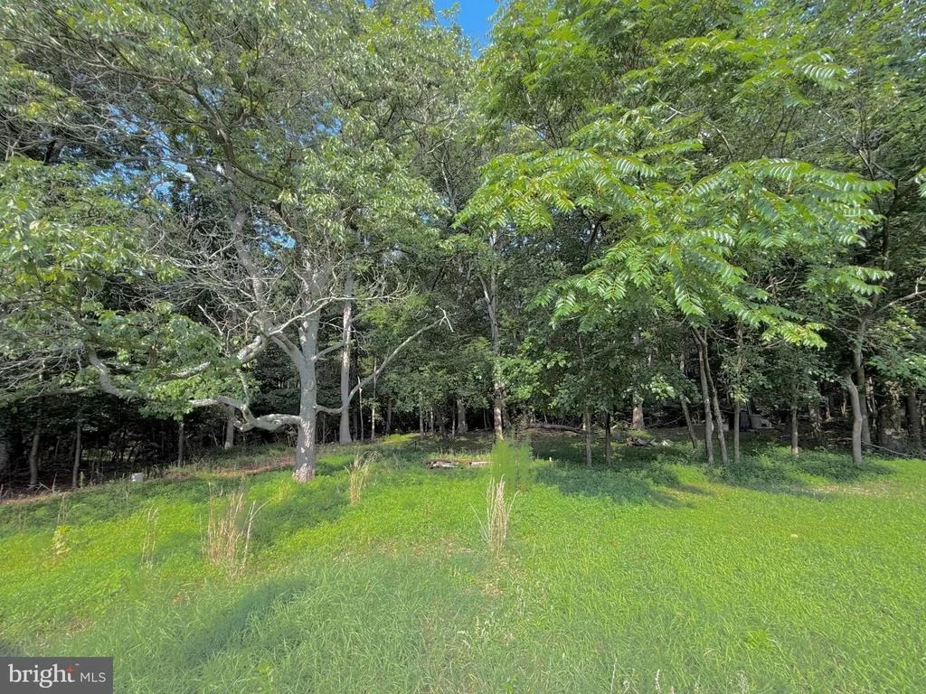 Photo of 12516 OLIVET ROAD