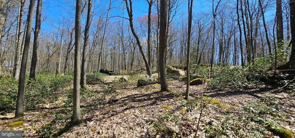 Photo of 6 CEDAR LANE