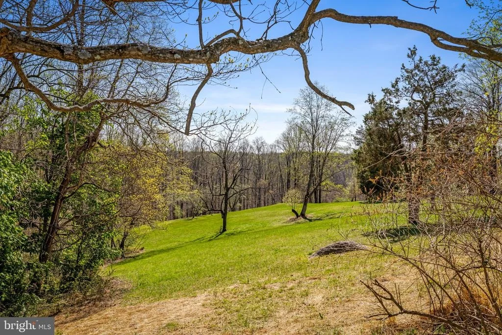 Photo of 8230 DOGWOOD ROAD