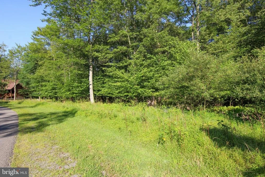 Photo of LOT 33 WINDING ESTATES DR