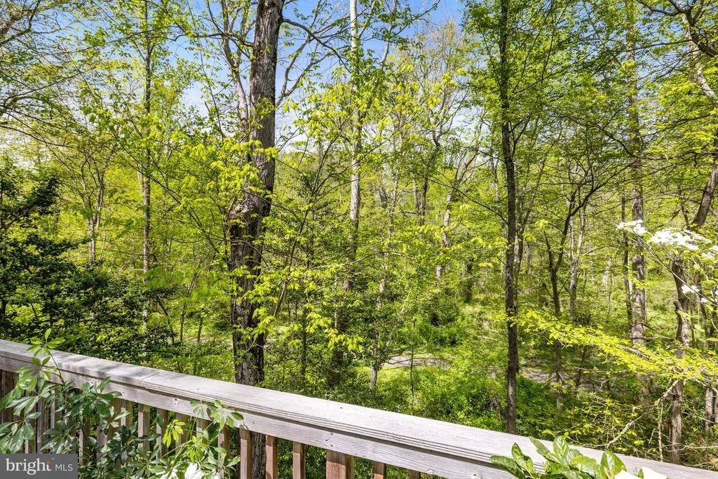 Photo of 11308 MYRTLE LANE