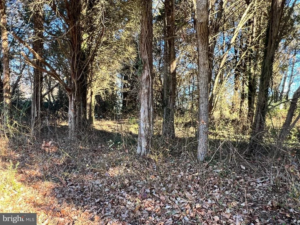 Photo of BAY DR