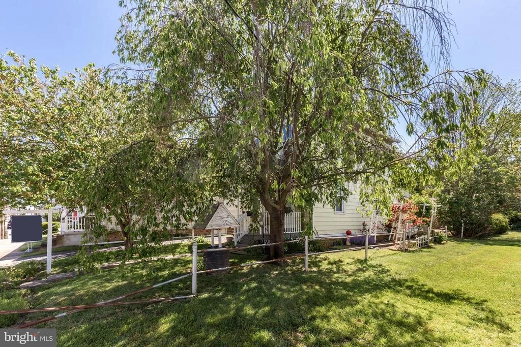 Photo of 47 FREDERICK STREET