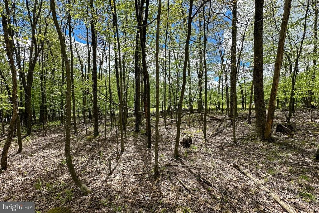 Photo of Lot 100 SNOWHAVEN LANE
