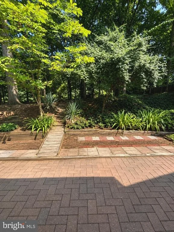 Photo of 8804 STRAUSE COURT