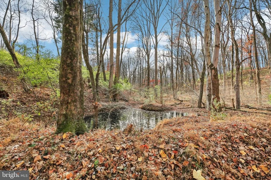 Photo of 1170 RIDGE RD