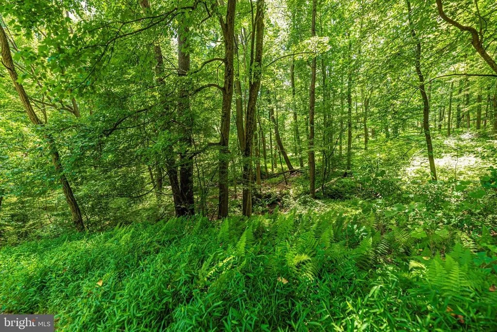 Photo of 5309 CAMP RAUDY ROAD