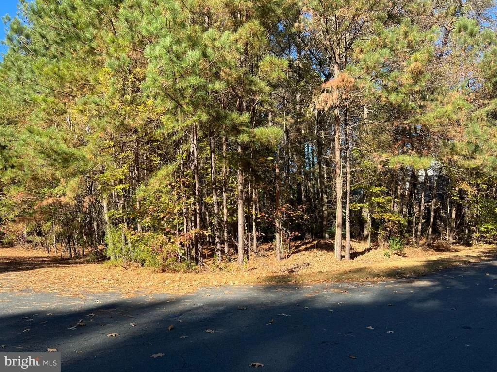 Photo of 11310 INGELS COURT