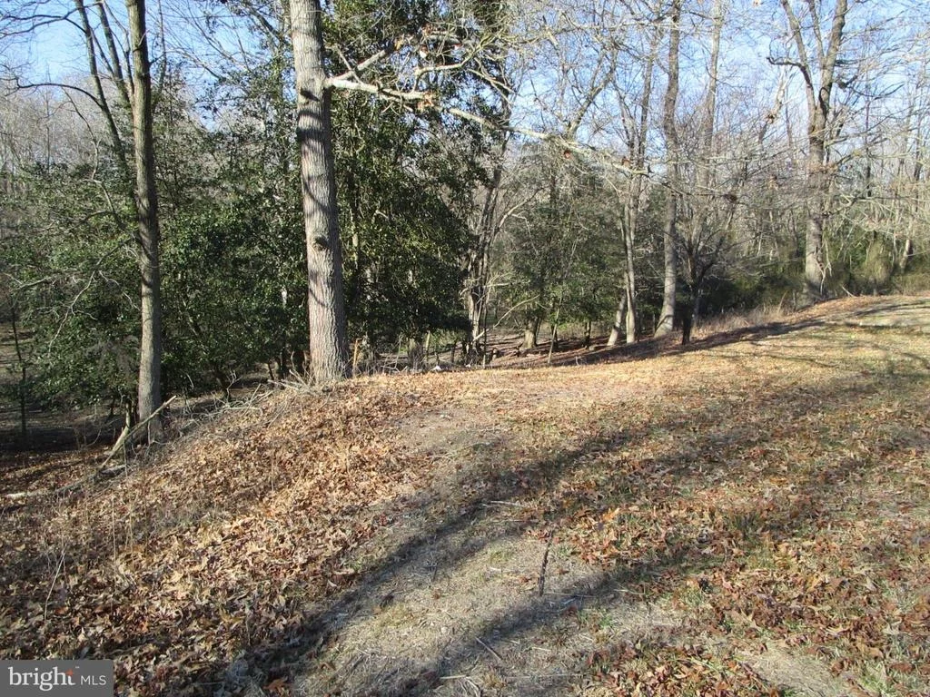 Photo of 11562 DOUBLE FORK ROAD