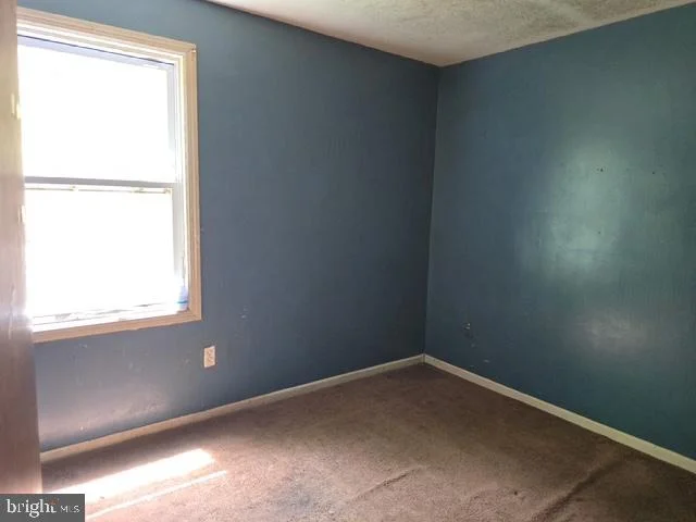 Photo of 239 GARFIELD AVENUE