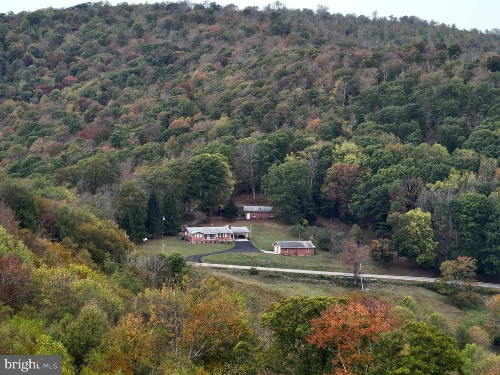 Photo of 11692 ADOLPH ROAD
