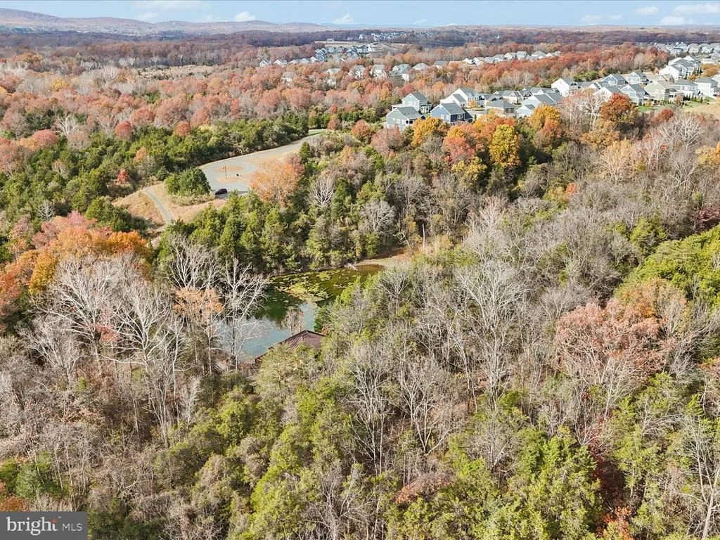 Photo of 25970 LIQUIDAMBAR LANE