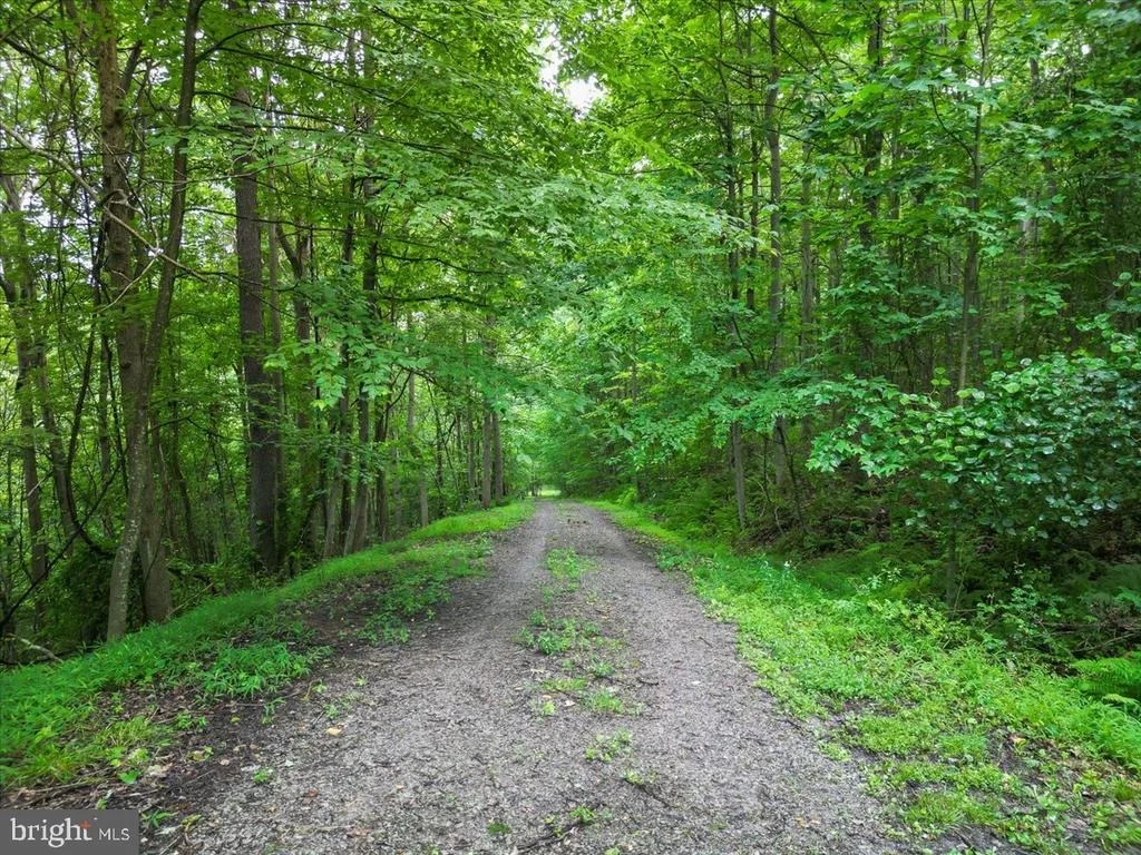 Photo of 611 TIMBER TRAIL