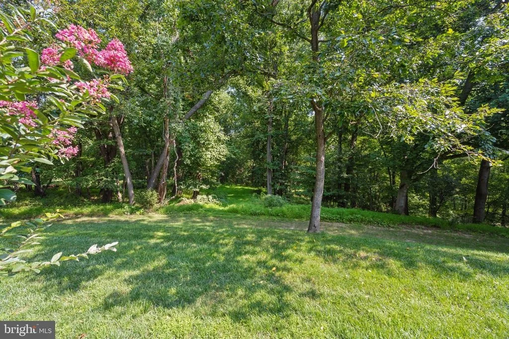 Photo of 17026 BARN RIDGE DRIVE