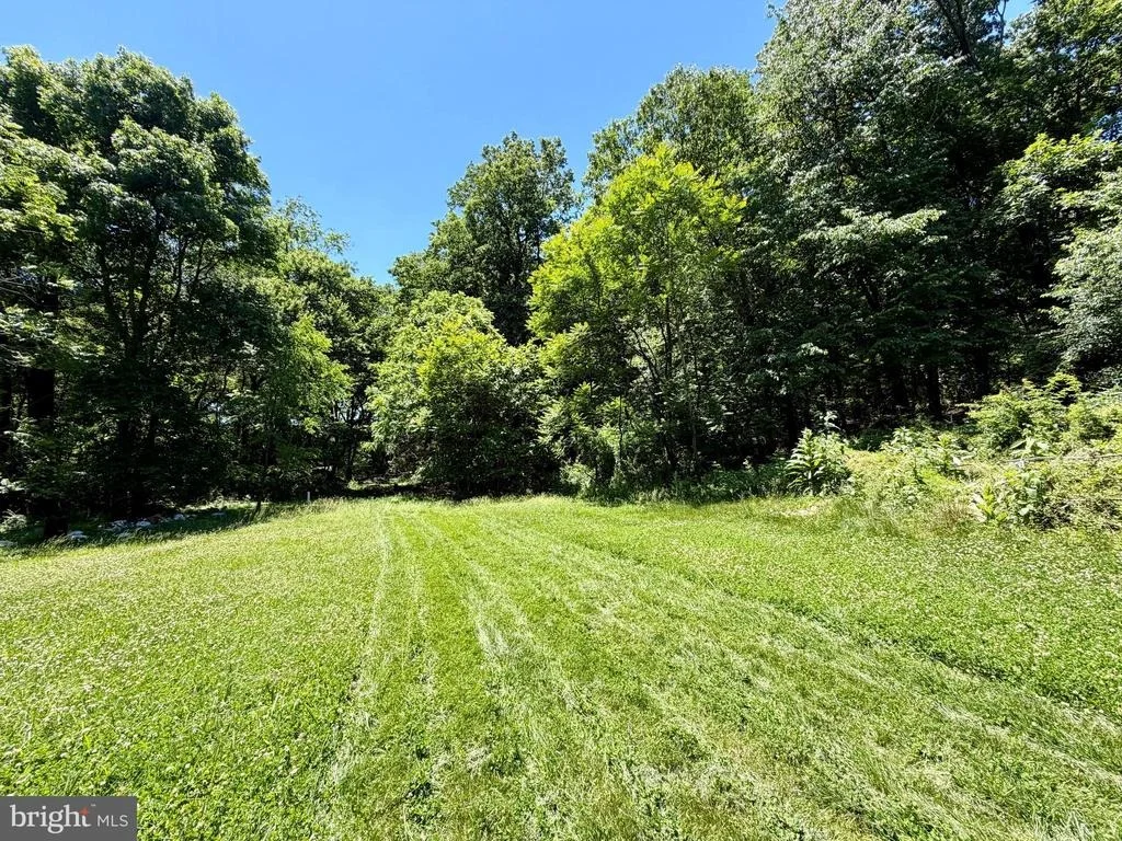 Photo of 10121 PUTMAN ROAD