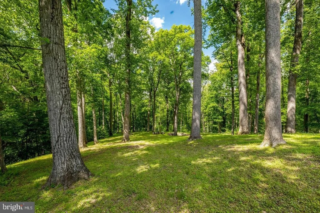 Photo of 105 INTERPROMONTORY ROAD