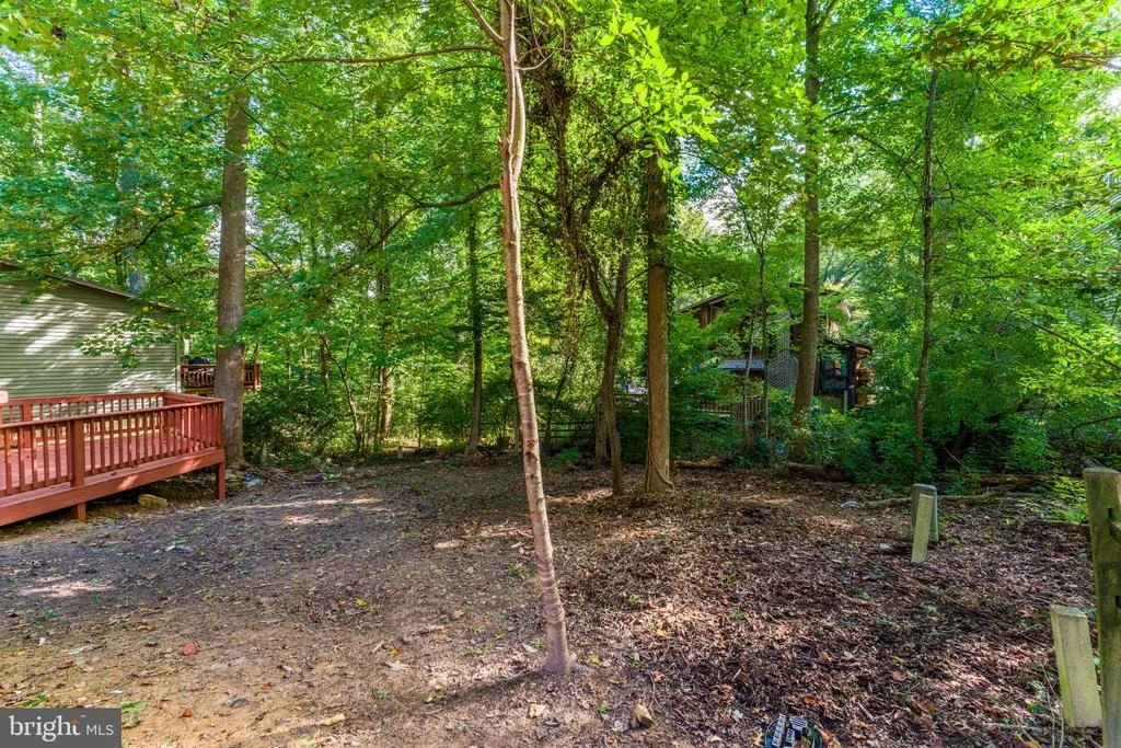 Photo of 11586 RED LEAF COURT