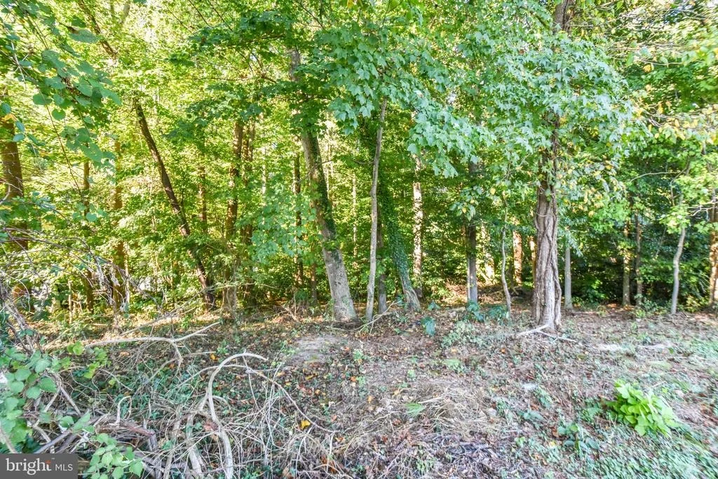 Photo of 6041 HILL ROAD