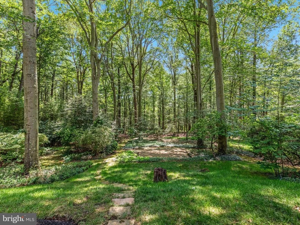 Photo of 13209 JOHNNY MOORE LANE