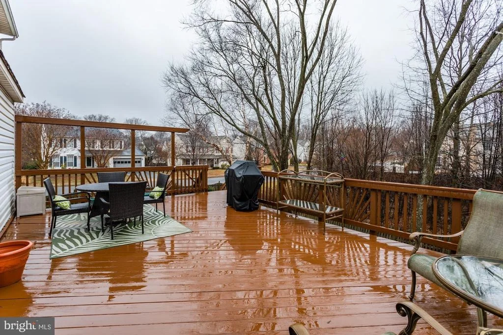 Photo of 10501 WINGED ELM CIRCLE