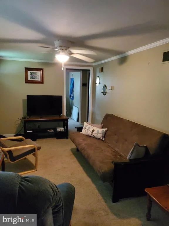Photo of 291 BROOKS DRIVE