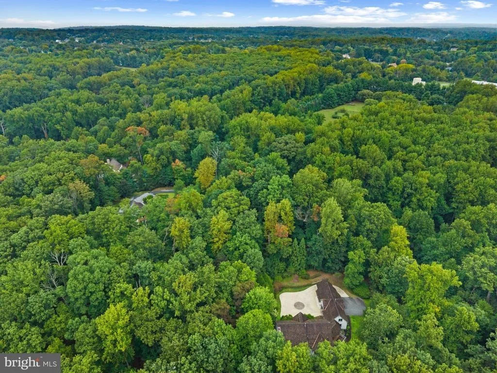 Photo of 3137 BLENDON ROAD