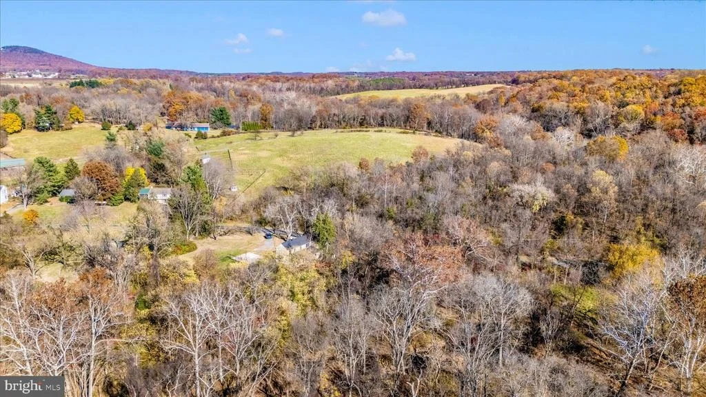 Photo of 21810 BIG WOODS ROAD