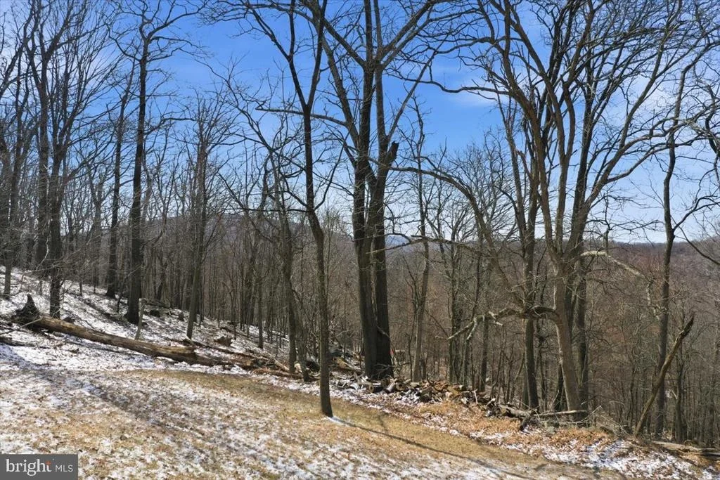 Photo of 1629 DAHLGREN ROAD