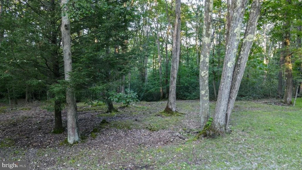 Photo of Lot 8 STOOL ROCK ROAD