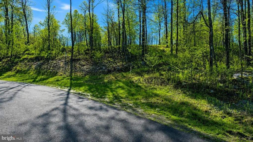 Photo of 21 ROCKY GAP TRAIL