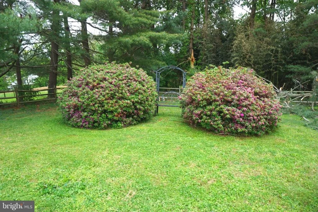 Photo of 1304 CHEZ COURT