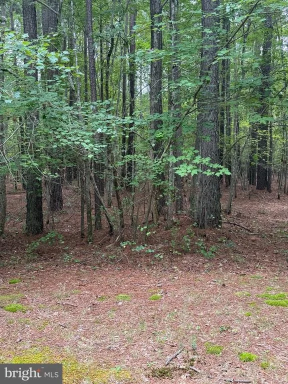 Photo of 23301 NANTICOKE ROAD