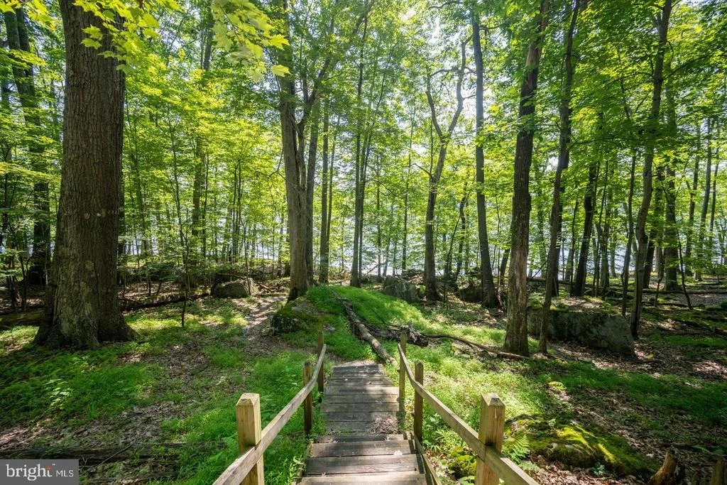 Photo of 2849 SHINGLE CAMP ROAD