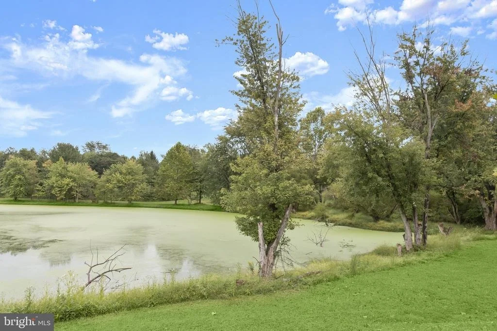 Photo of 4175 THOMAS DRIVE