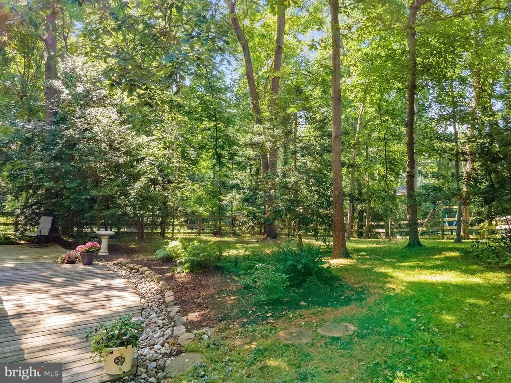 Photo of 11247 HANDLEBAR ROAD