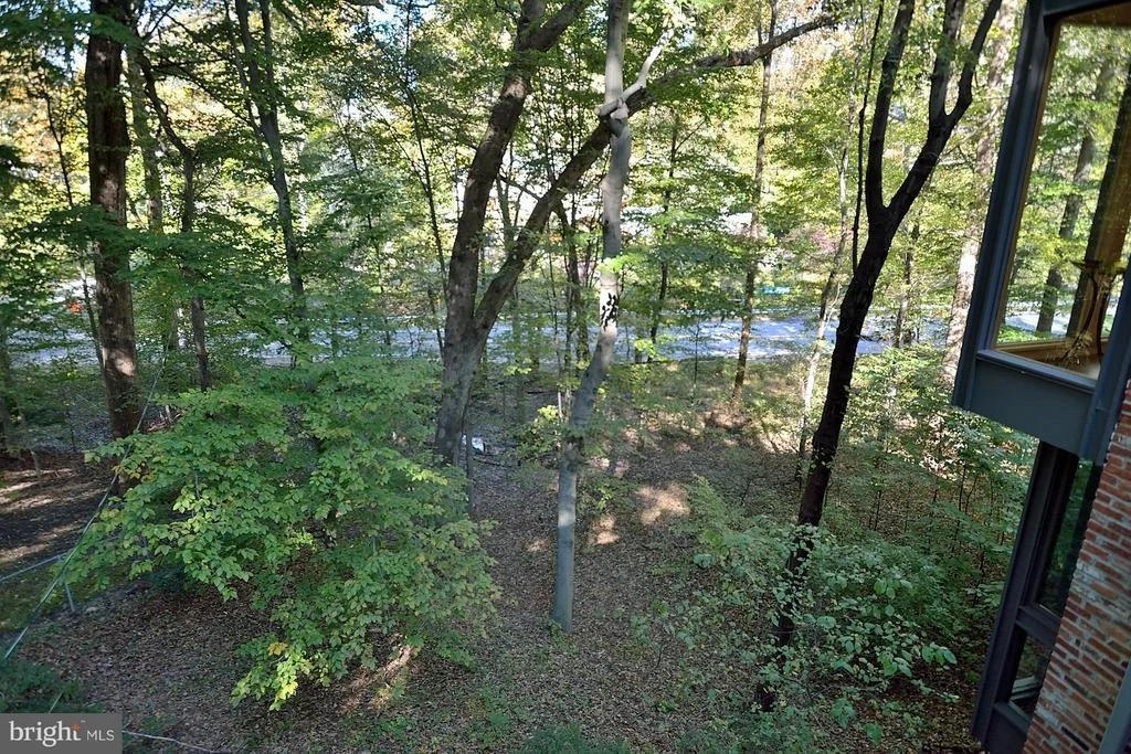 Photo of 4 BUTTONWOOD LANE