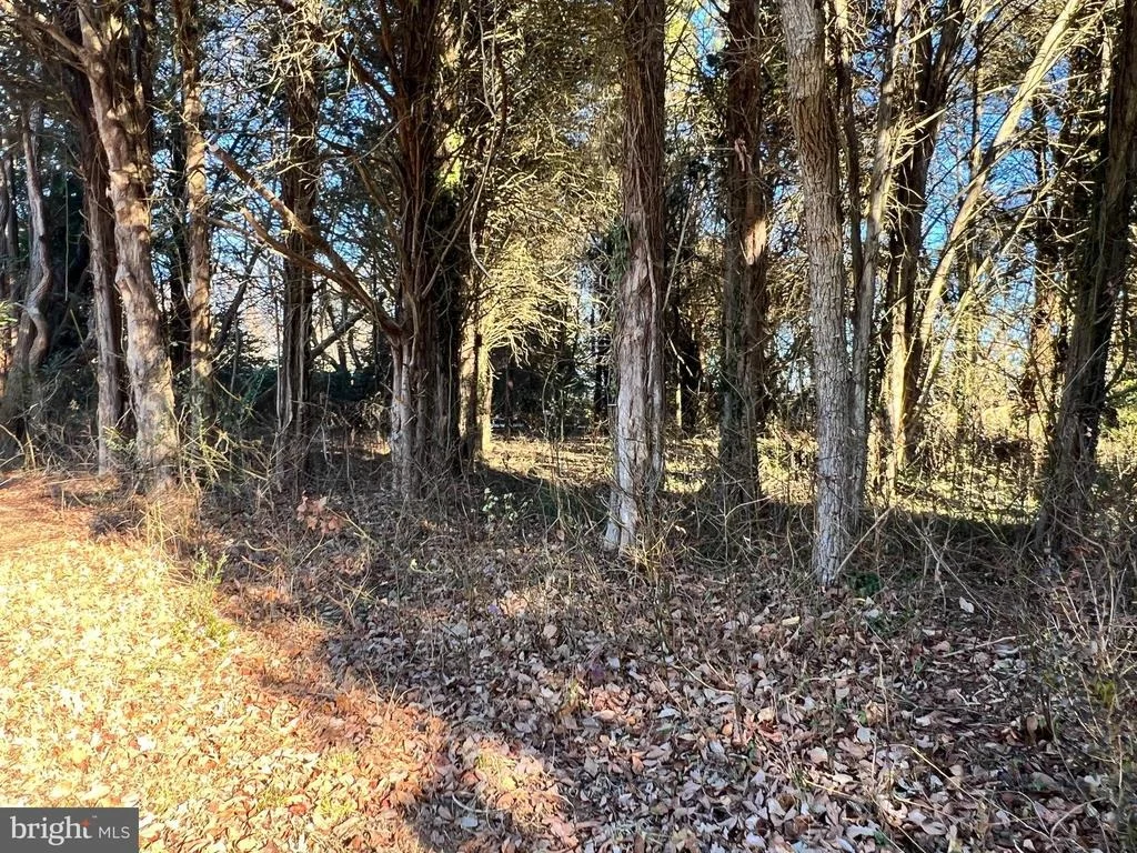 Photo of BAY DR