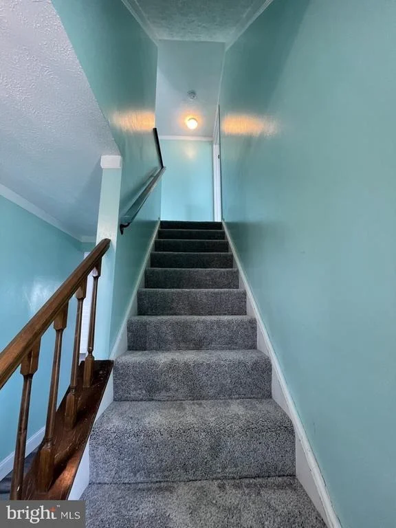 Photo of 1341 BUTTERFLY LANE