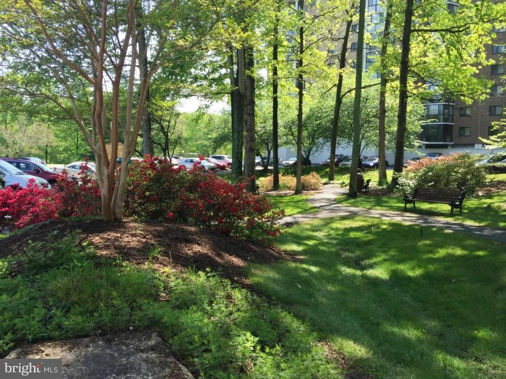 Photo of Unit 11015 at 15101 INTERLACHEN DRIVE