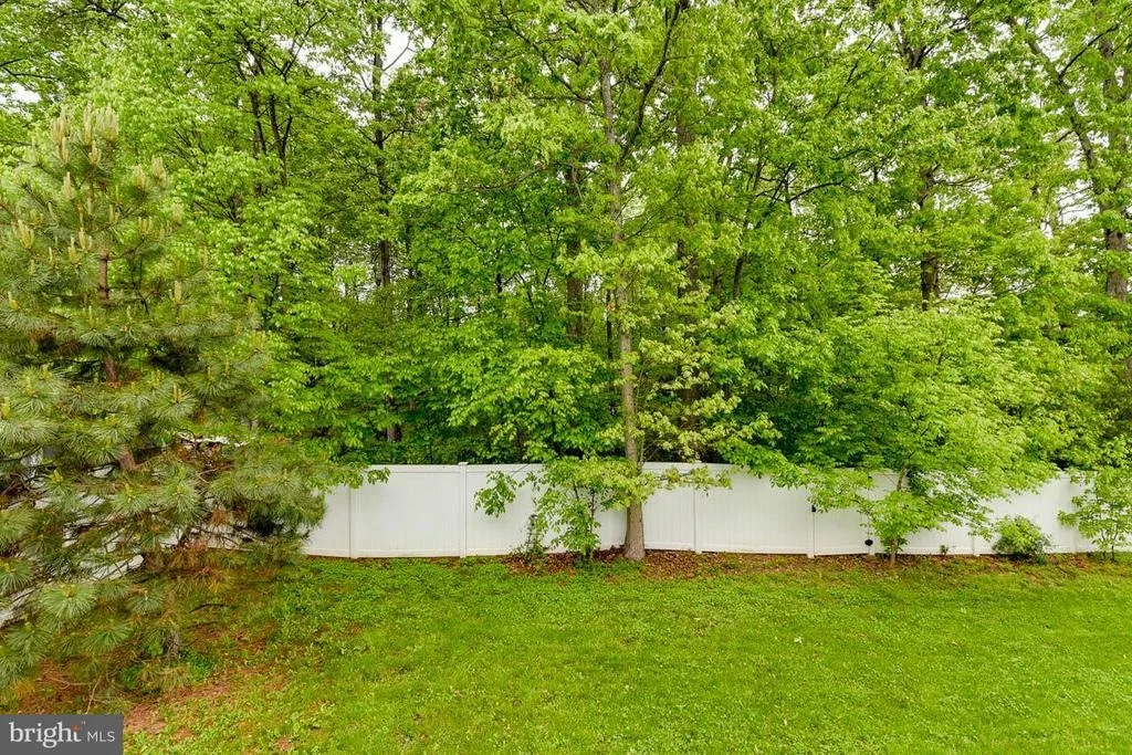 Photo of 12064 PAPER BIRCH LANE