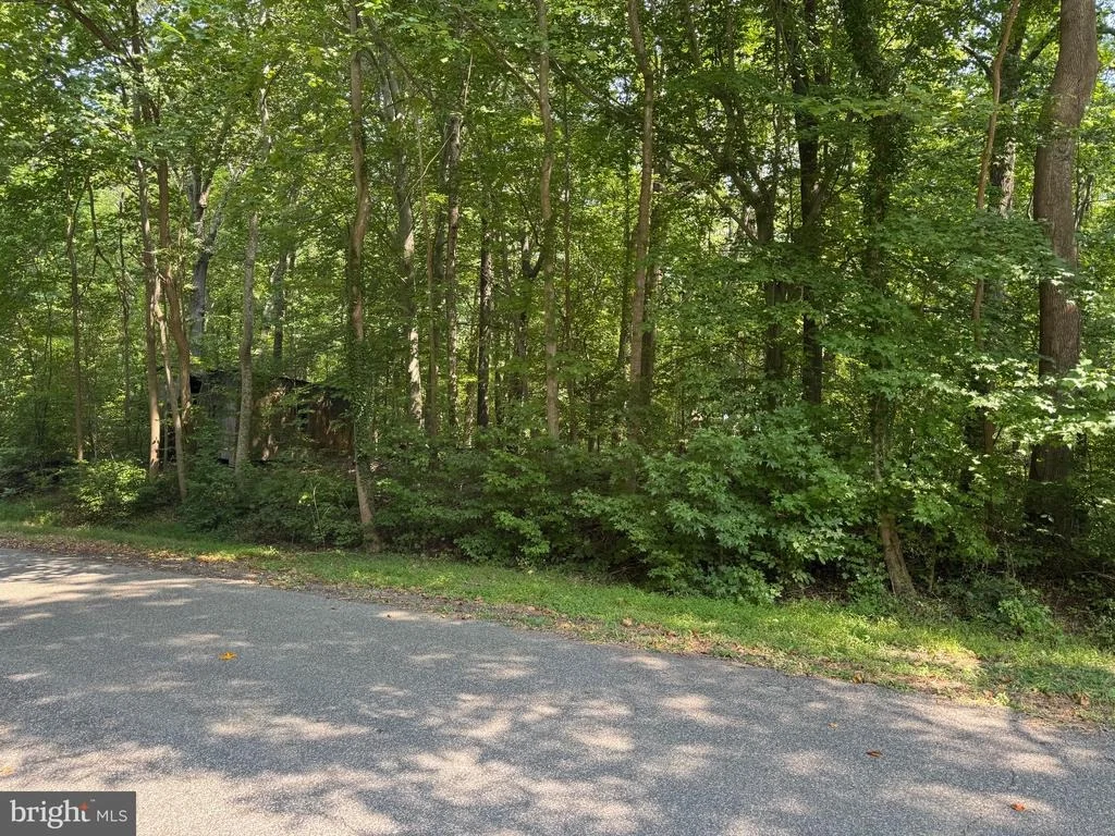 Photo of 4685 CAMP ROOSEVELT DRIVE